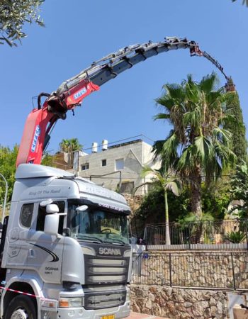 לויאן הובלות ומנופים